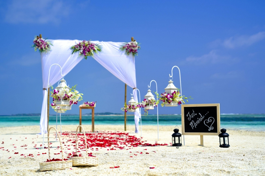 Red rose petals strewn over the sand make for a classic aisle for your beach wedding